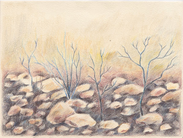 Natural Fire Break
